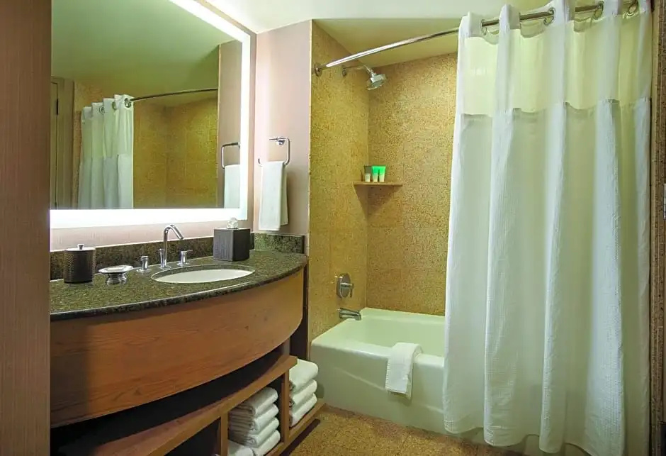 Hyatt Regency Lake Tahoe Resort, Spa and Casino - Chambres