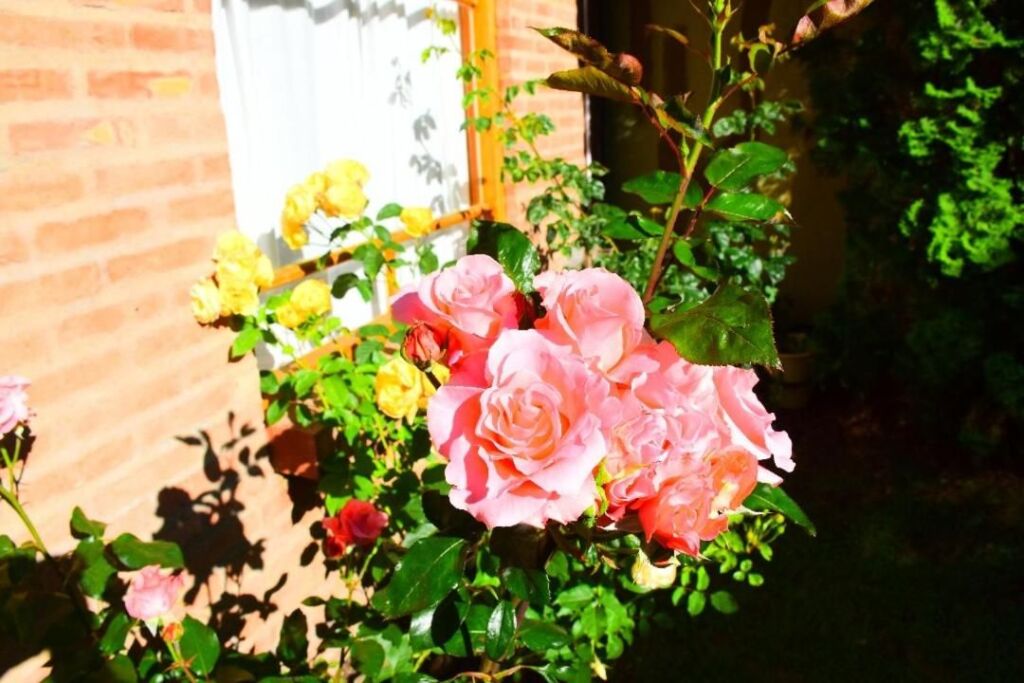 gallery_image_hidden_20