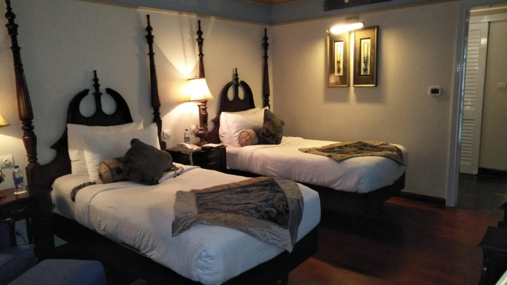 Deluxe Double room (twin beds)