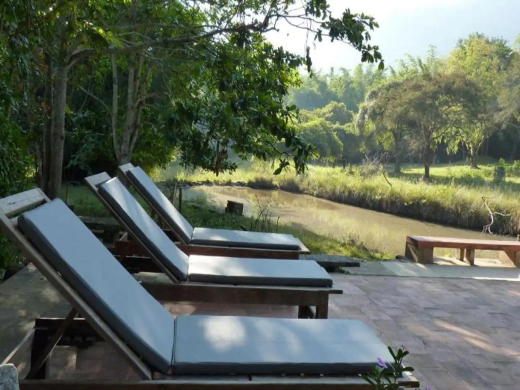 Jungle Hut Resorts - Général