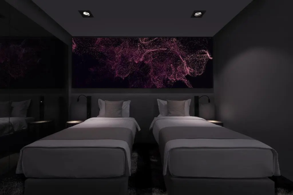 Standard Double room (twin beds)