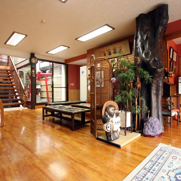 Image 7