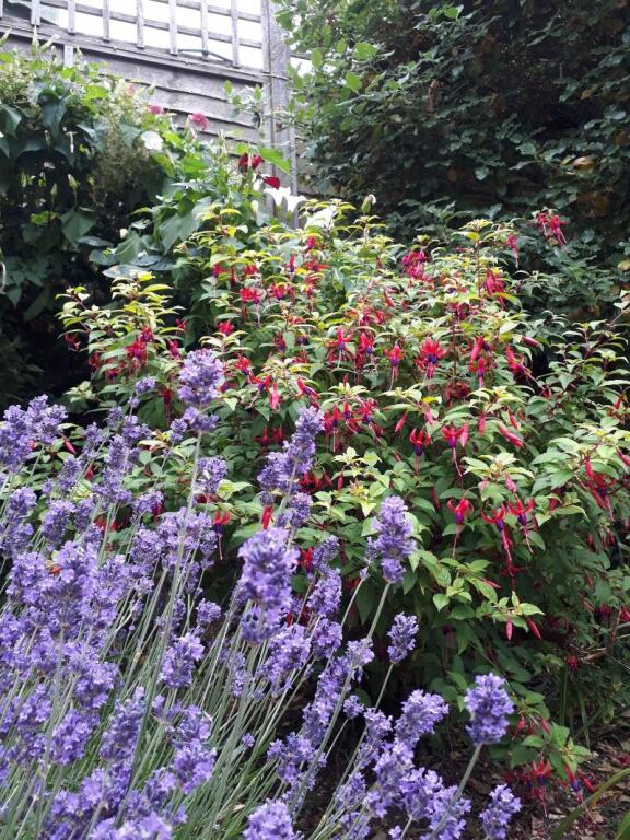 Stoneleigh Barn by null