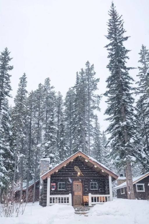 Storm Mountain Lodge Cabins & Dining