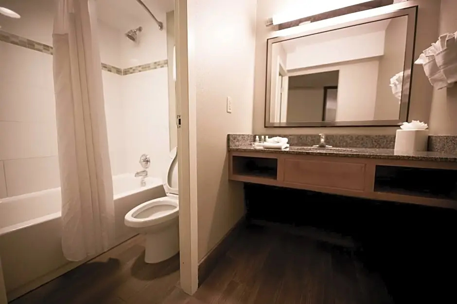 Holiday Inn Raleigh Downtown - Chambres