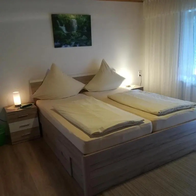 Deluxe Double room with balcony (full double bed)