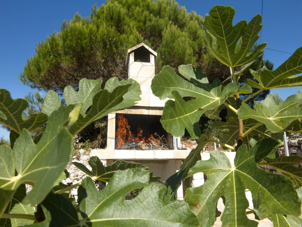 Holiday house Ani - 30 m from beach : Maslinica, Island Solta