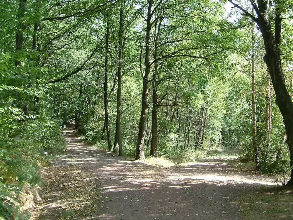 Image 18
