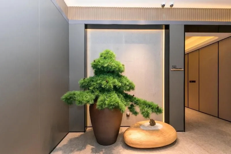 Ji Hotel Shanghai Xinzhuang South Square - Général