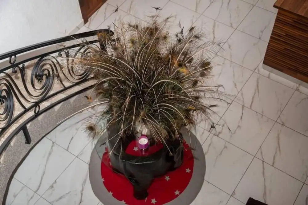 The Haven Boutique Hotel - Kumasi, Ghana