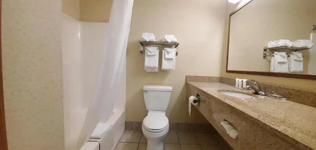 Wingate by Wyndham Youngstown - Chambres