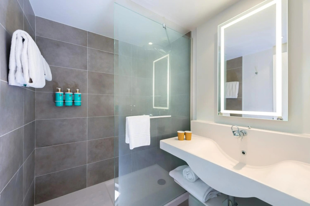 Novotel Toulouse Centre Compans Caffarelli - Général