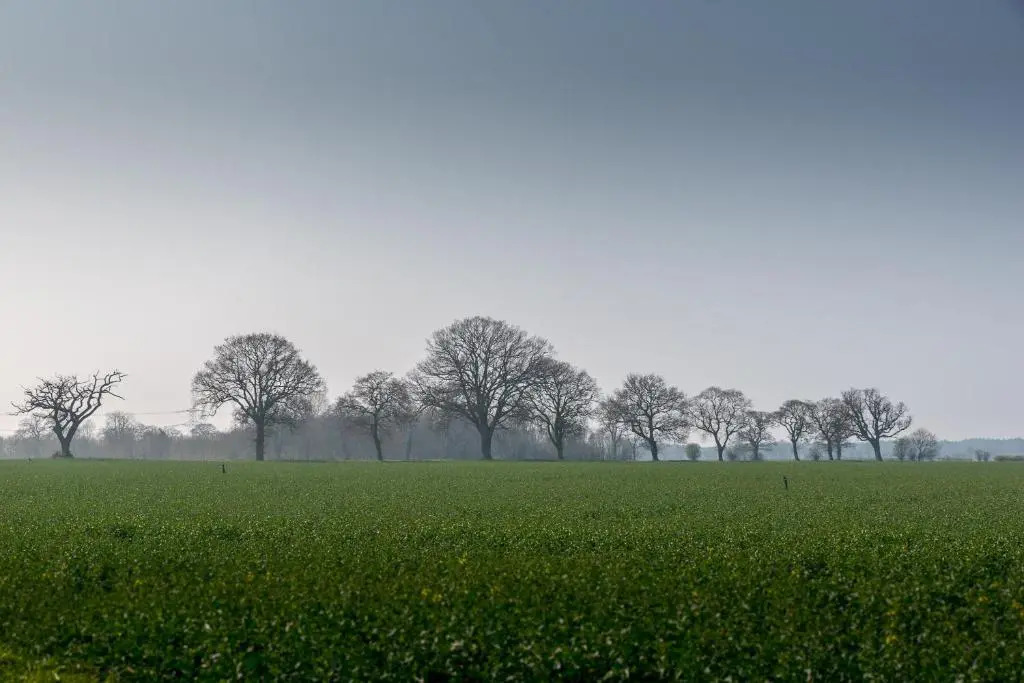 尊爵雙人房，花園景觀，雙人床