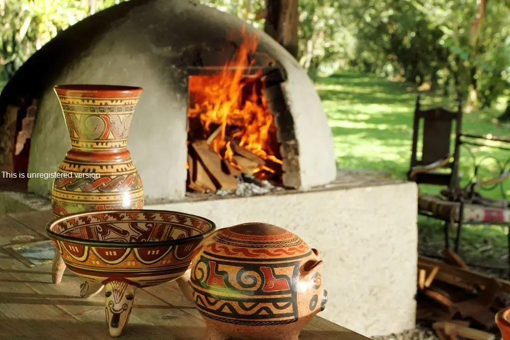 Sarapiquis Rainforest Lodge - фото 23