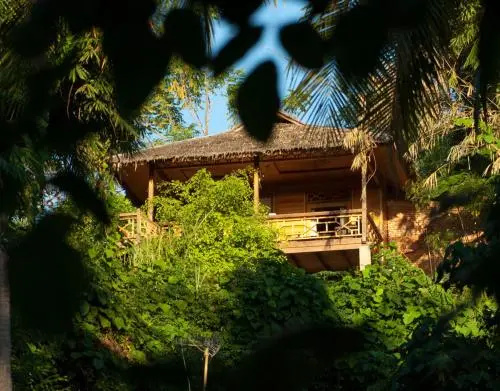 Living Colours Diving Resort