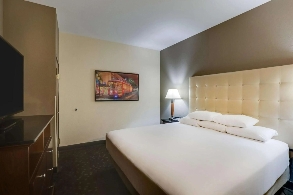 Drury Plaza Hotel New Orleans - Général