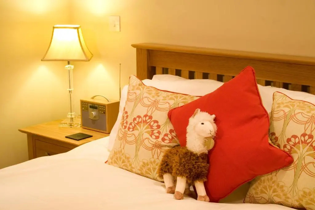 Ffarm Country House - Chambres