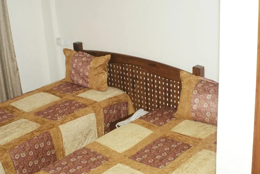 Standard Double room with mountain view (full double bed)