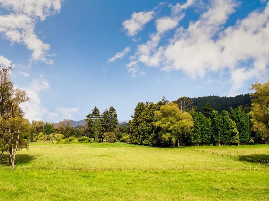 Sea Breeze - Whangamata Holiday Home