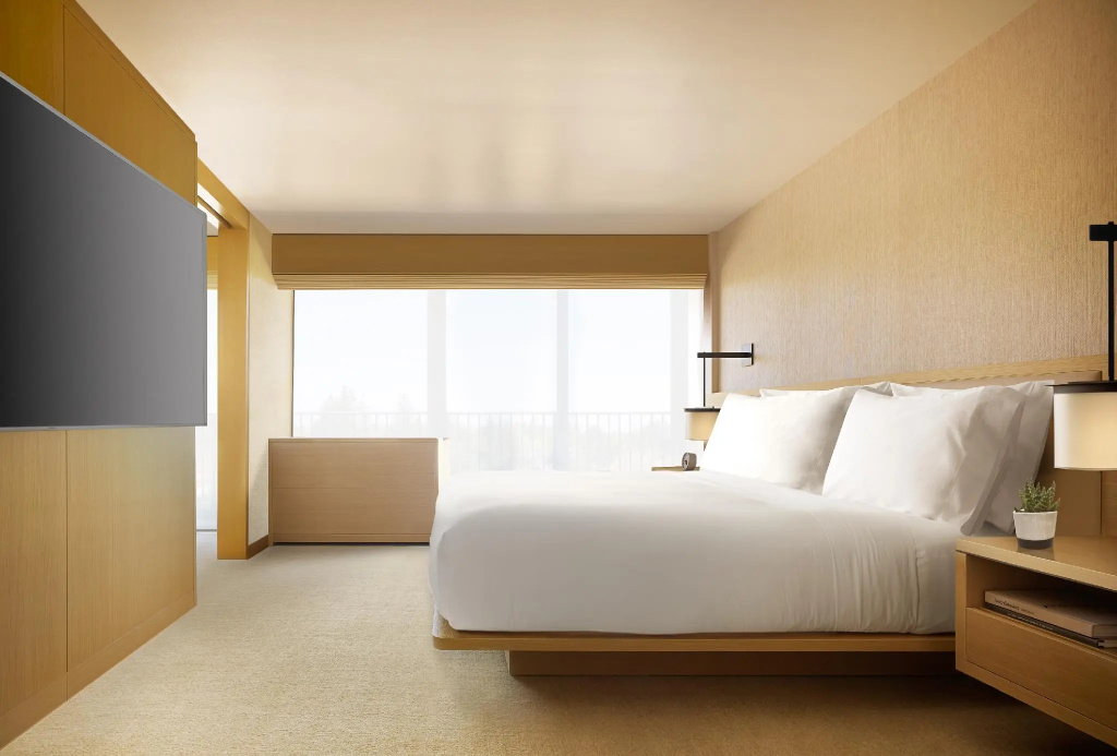 Deluxe Double room (full double bed)