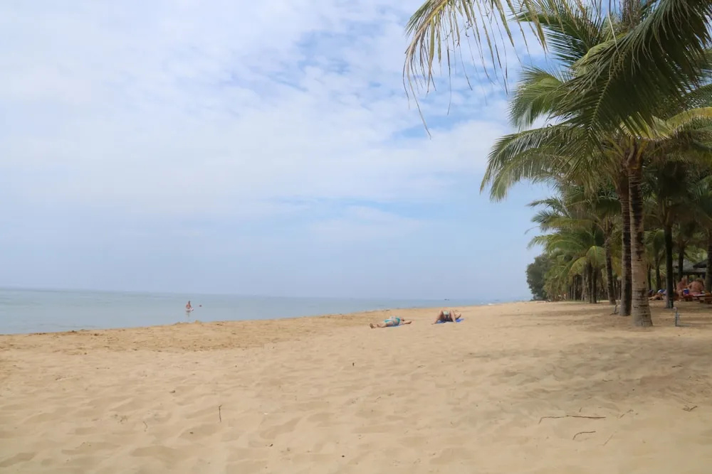 Beach & Waterfront