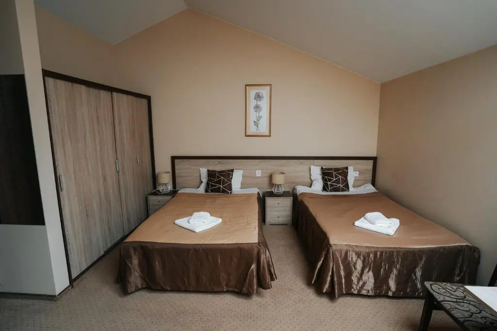 Standard Double room (full double bed)