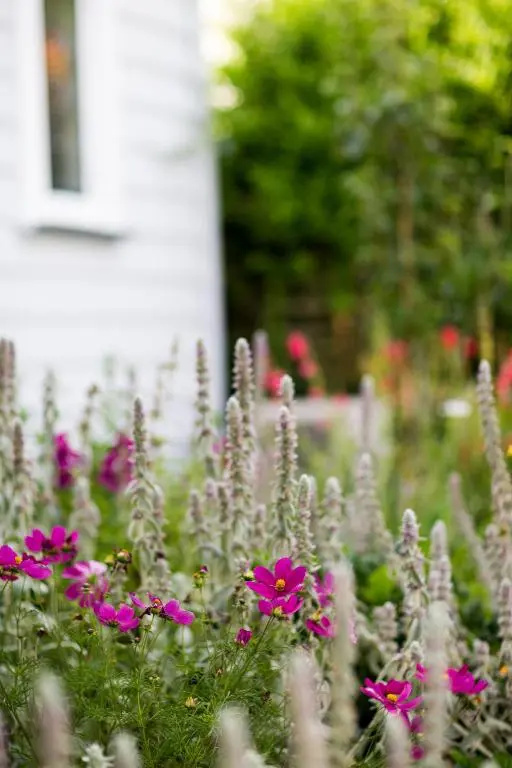 Coghill Cottage