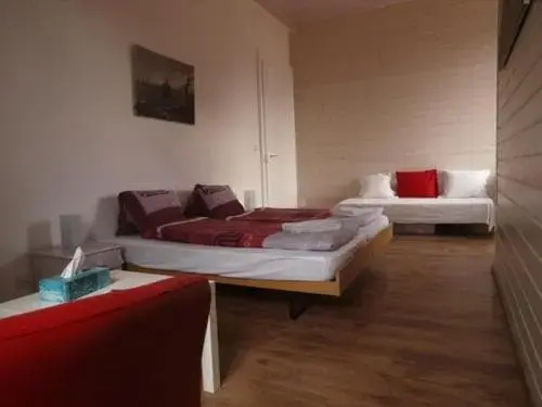 Hôtel Garni Villa Carmen - Général