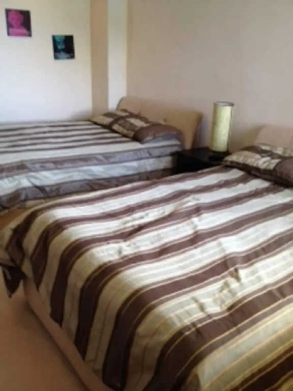 Palmetto Ixtapa 313 - Chambres
