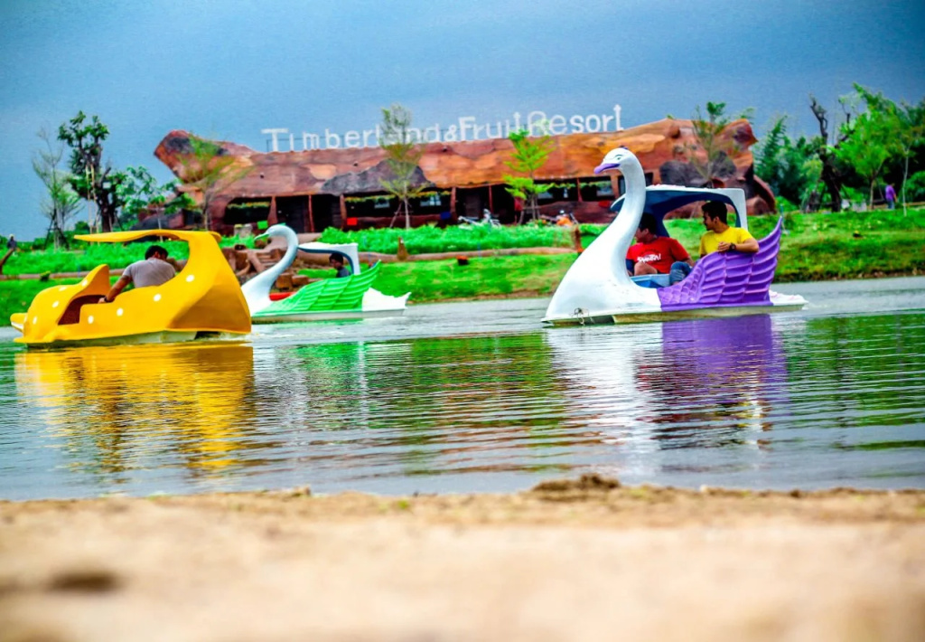 Beach & Waterfront