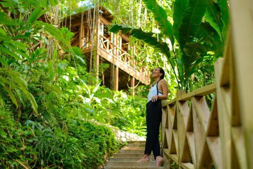 Kanopi House by null