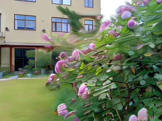 Sheyu Guesthouse