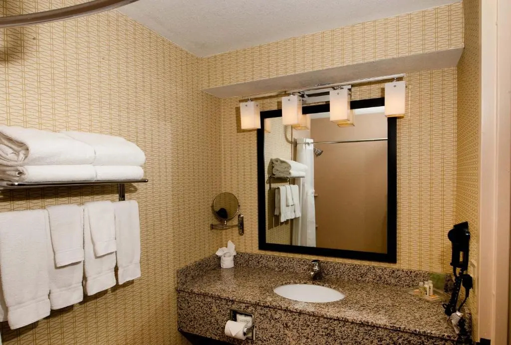 Holiday Inn St. Louis Arpt West-Earth City by IHG - Chambres