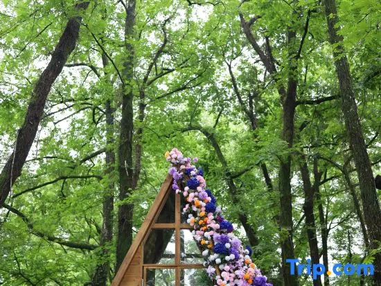 Huangshan Guanzhiyuan Gallery Garden · Huanghuali Wood Antique Collection Hotel in Huangshan