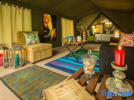 Mahoora Tented Safari Camp - Wilpattu