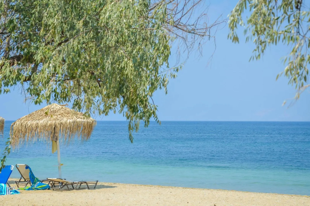 Beach & Waterfront