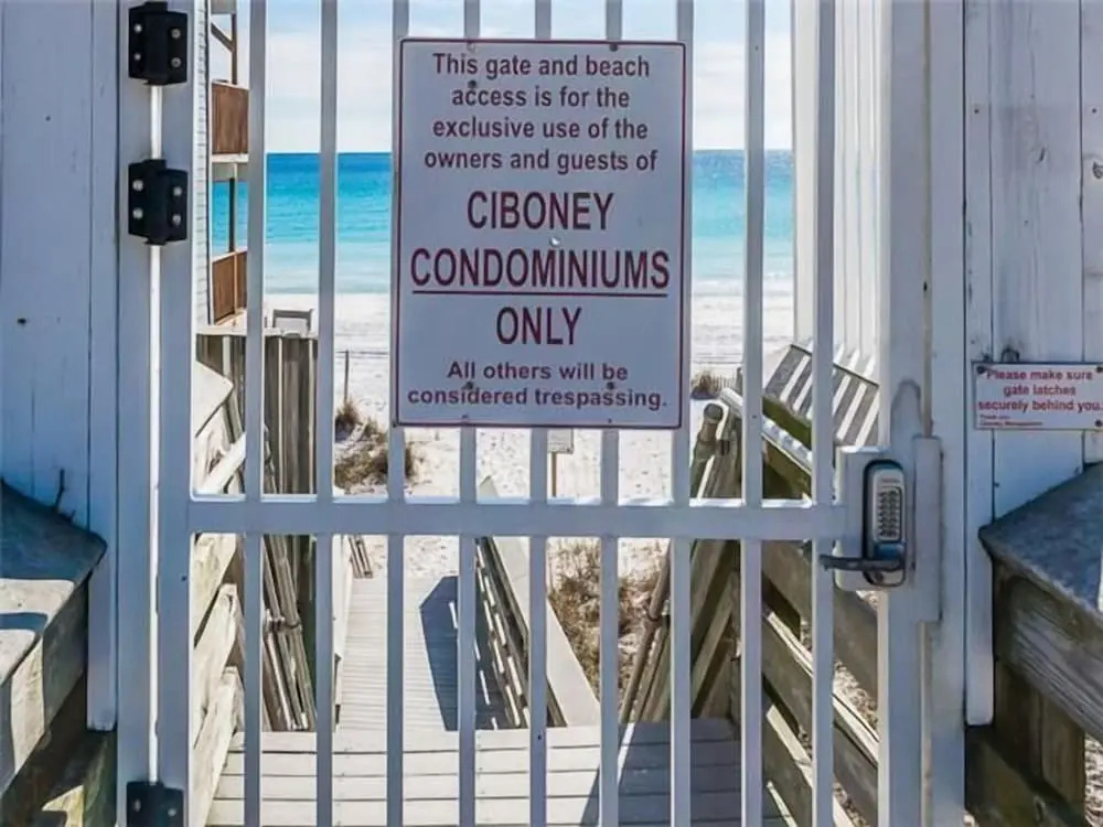 Ciboney 2014