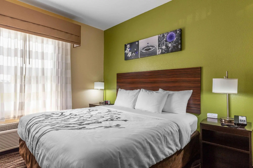 Double Suite (full double bed)
