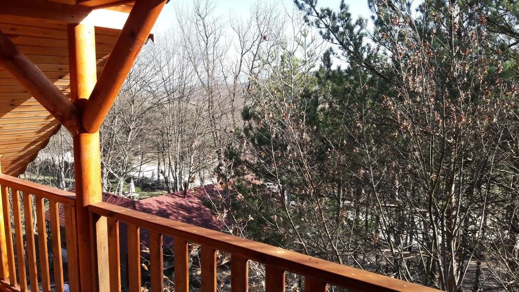 Balcony & Terrace