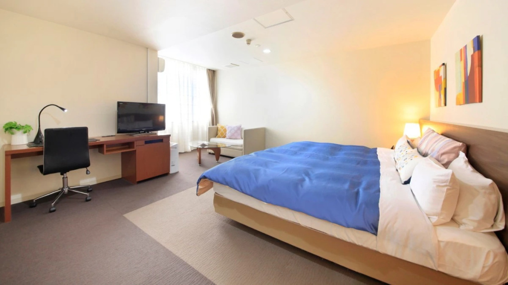 Standard Double room (full double bed)