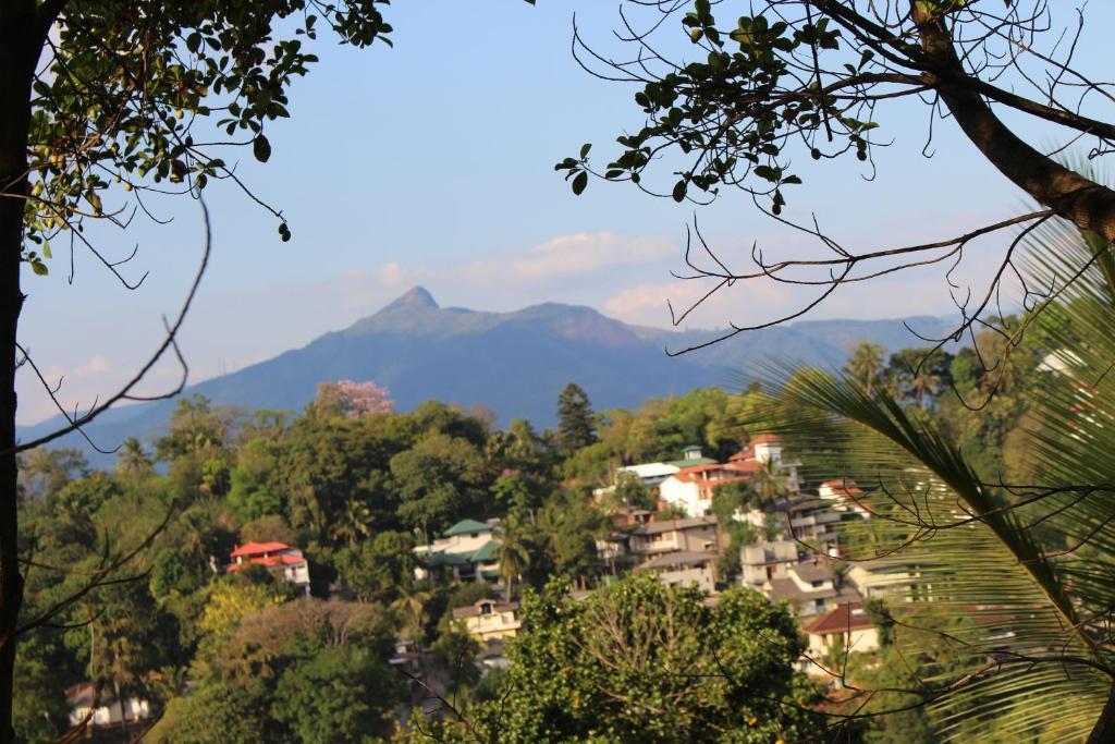 Alex Home Stay