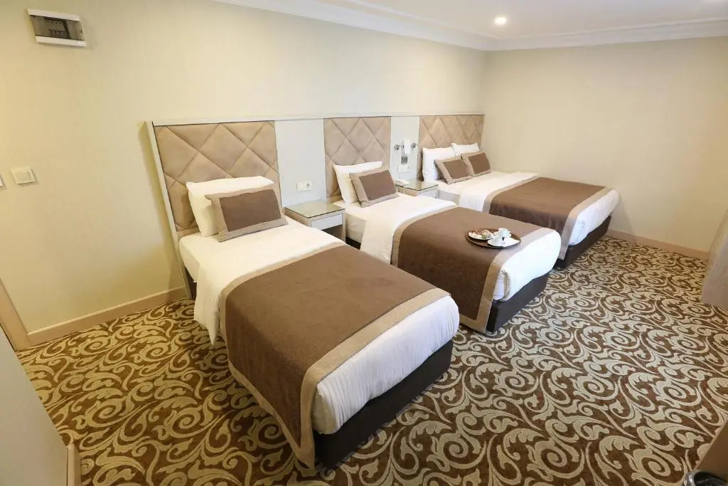 Alpinn Hotel Istanbul- Special Class - Chambres