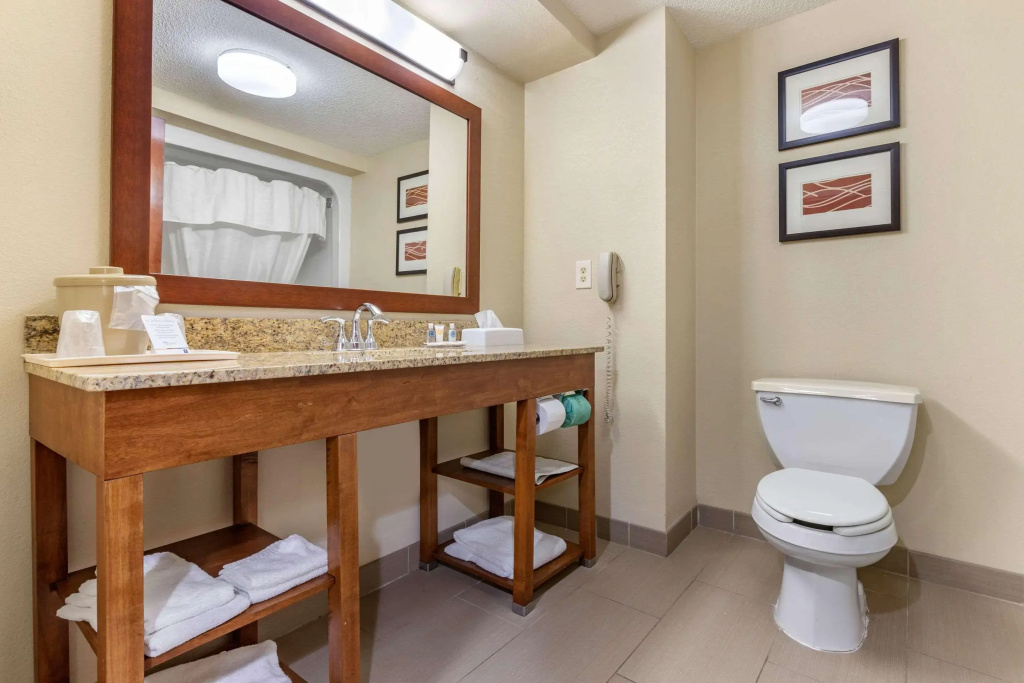 Comfort Inn Blythewood - North Columbia - Général