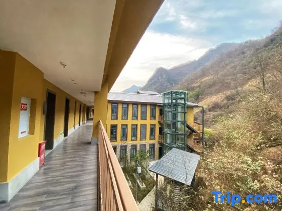 Balcony & Terrace