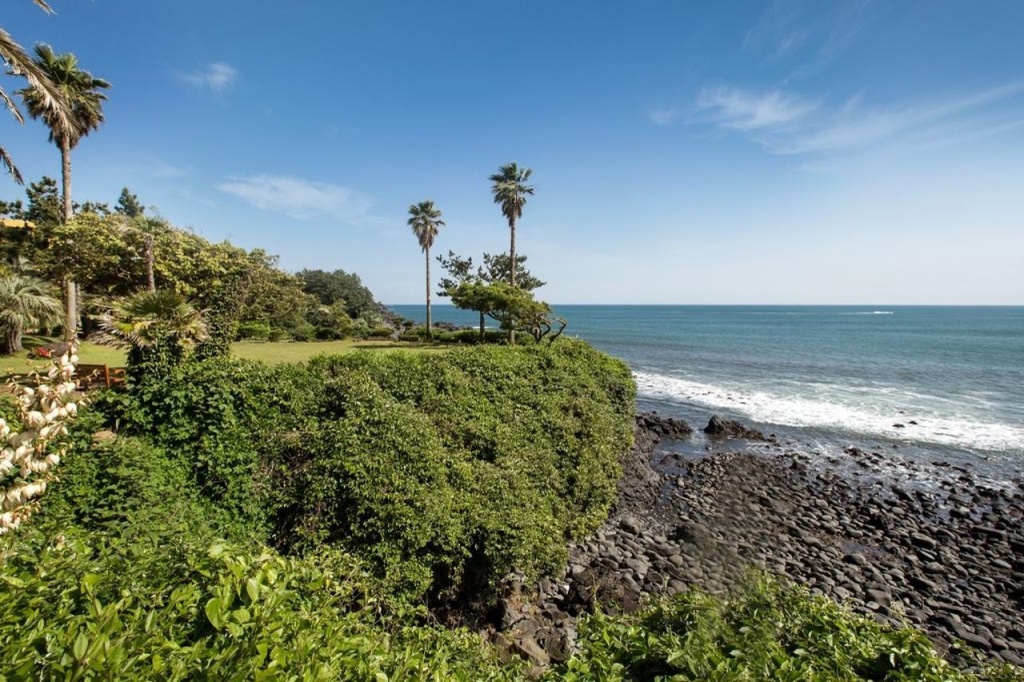 Beach & Waterfront