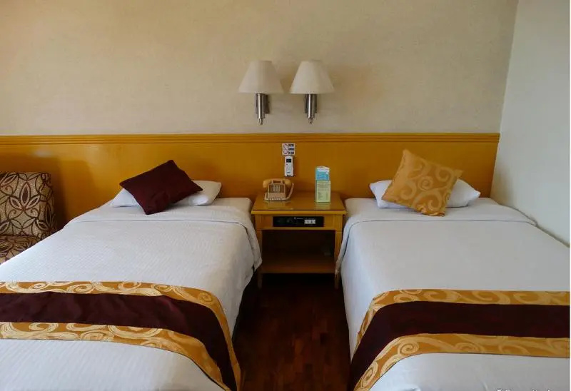 Standard Double room with city view (twin beds)