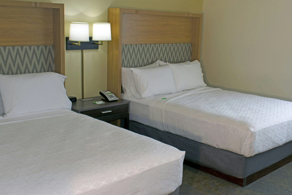 Holiday Inn Binghamton Downtown by IHG - Général