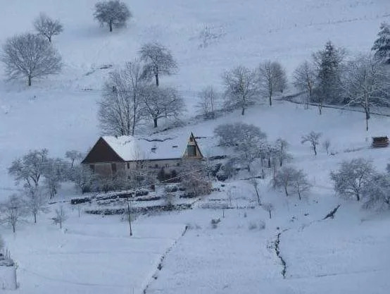 Le Chat Rouge Chambres D'hotes De Charme En Alsace