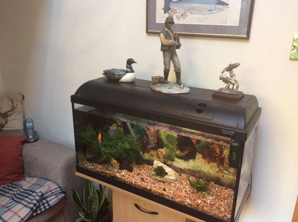 Castleview Bed & Breakfast — 2