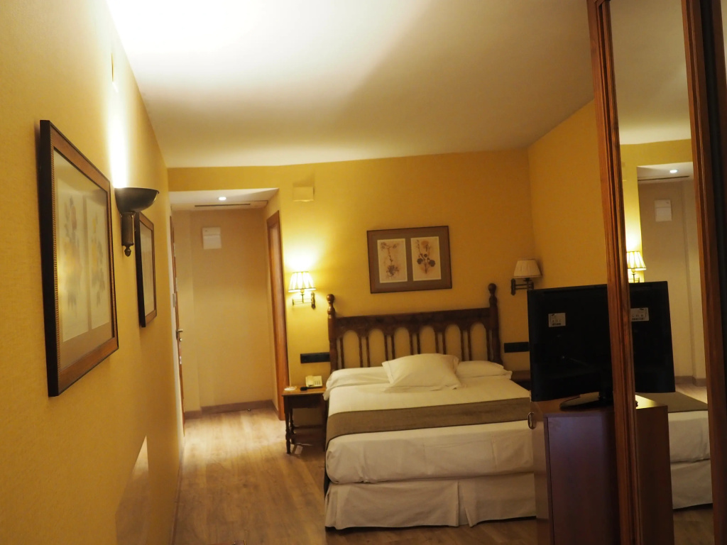 Hotel Ele Puente Romano - Général